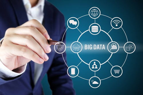 企业如何有效适应数字化转型并实现开发创新